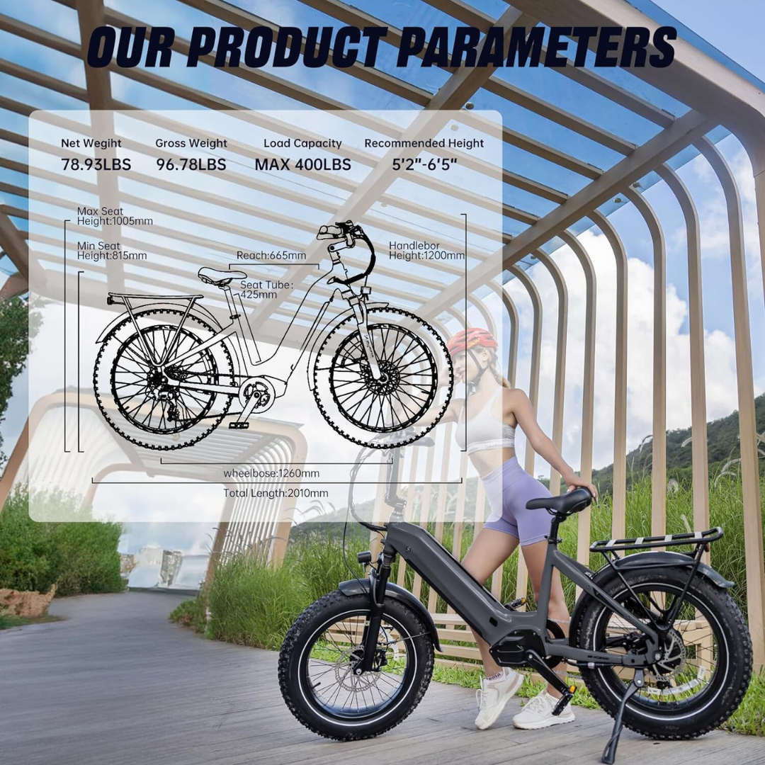 Electric Bicycle Fat Tire Ebike Mid Drive Bafang 1000w Mountain
